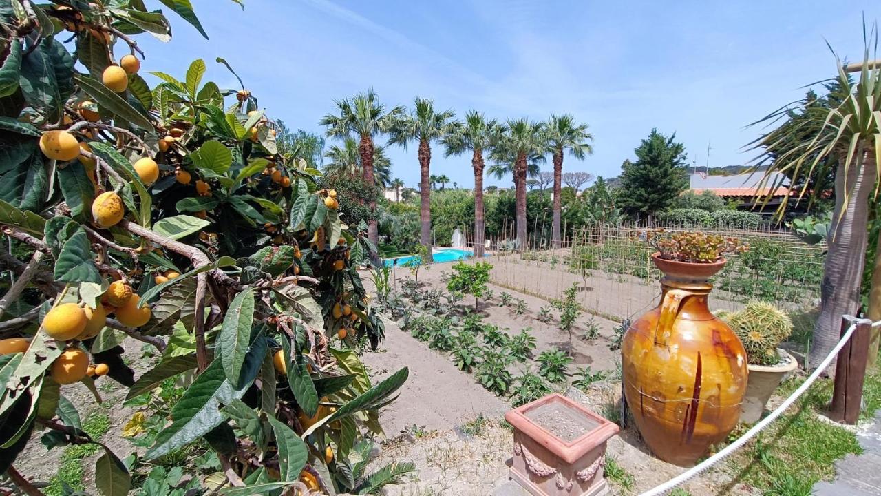 Cristina Bed & Breakfast Forio (Isola d'Ischia)